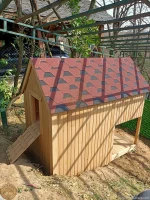 ÖZEL KÖPEK KULÜBESİ 34671 - Görsel 5