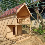 ÖZEL KÖPEK KULÜBESİ 34671